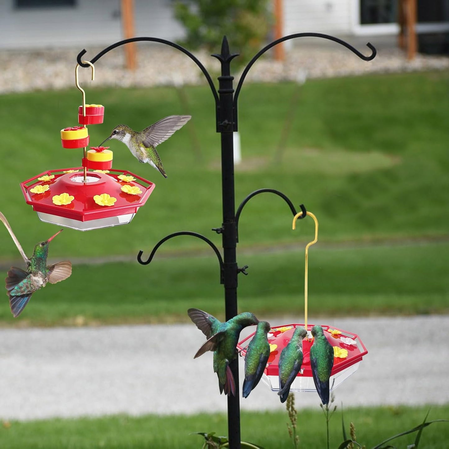 Sweety Hummingbird Feeder