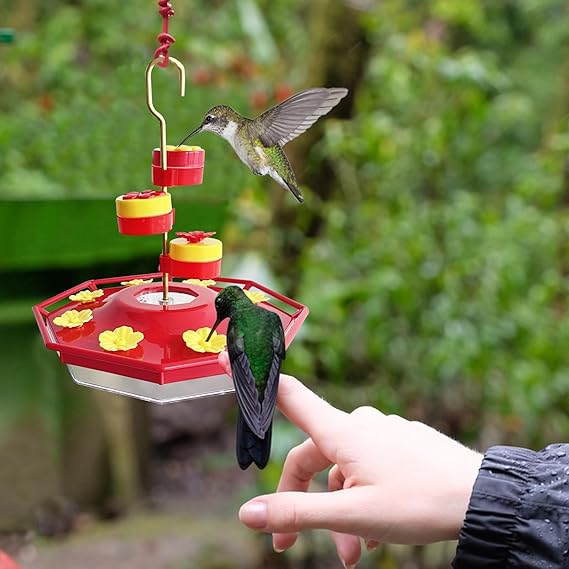 Sweety Hummingbird Feeder