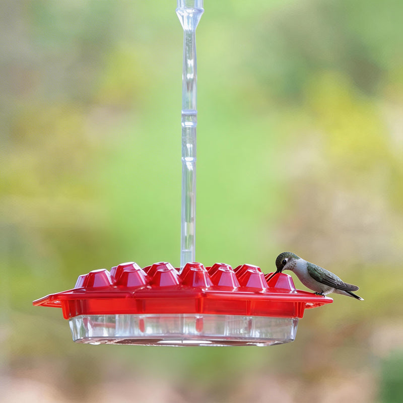 Sherum Sweety Hummingbird Feeder